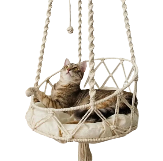 Hanging cotton cat hammock with twisted rope detail.