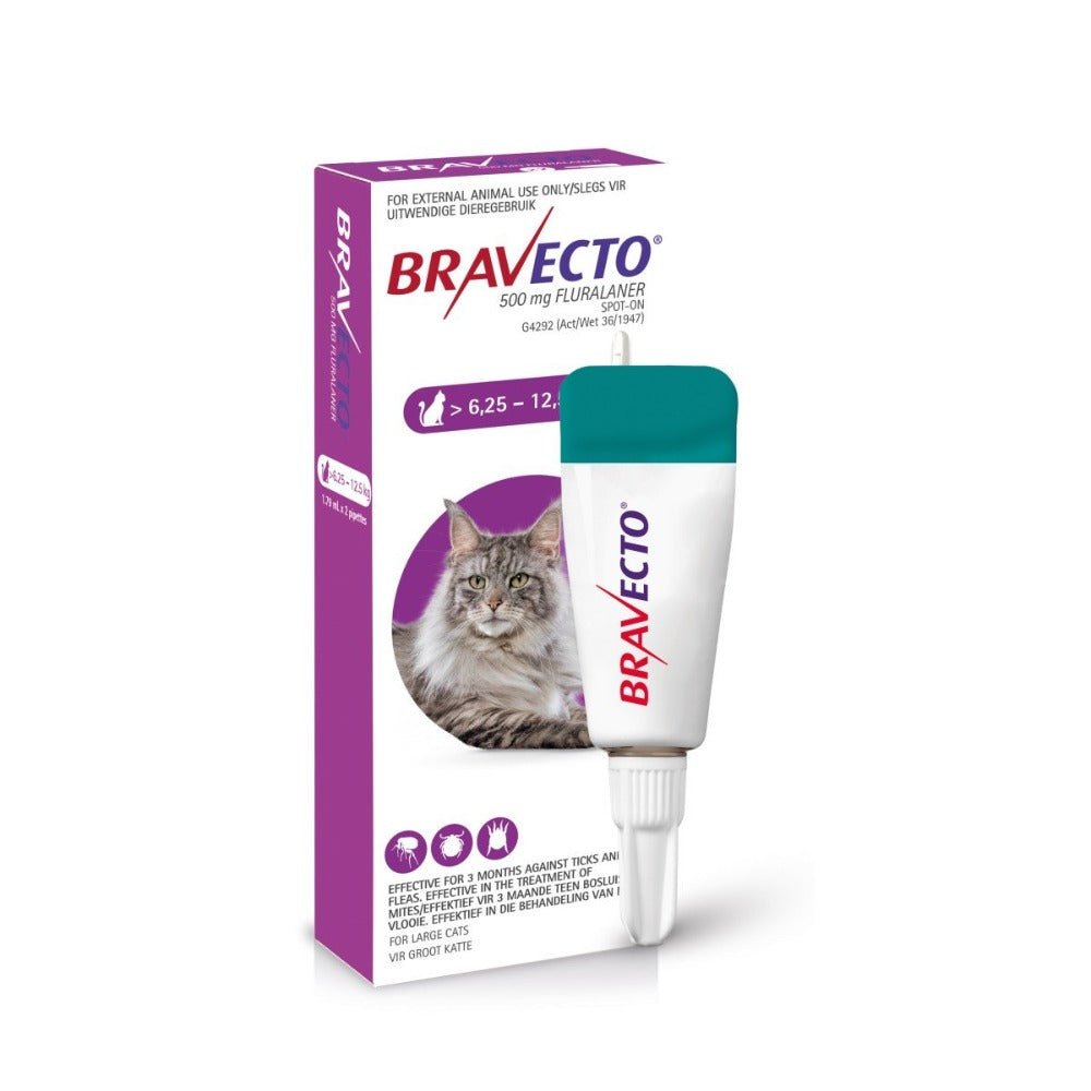 Bravecto Spot-On for Cats Large over 6.25 to 12.5 kg packshot