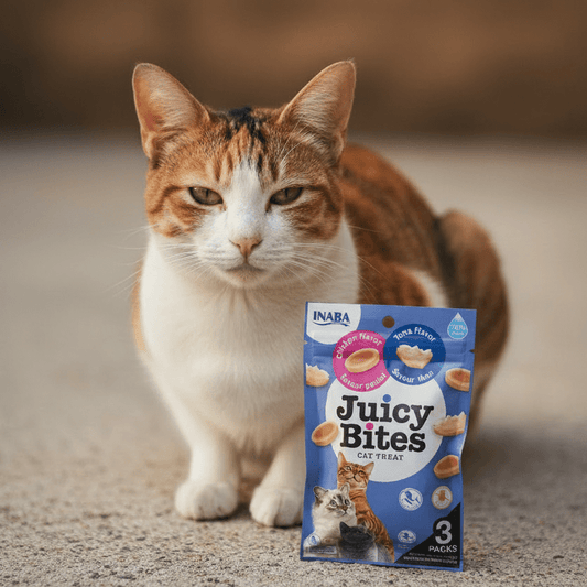 Orange-and-white cat with INABA Juicy Bites cat treats package, blue tuna mix