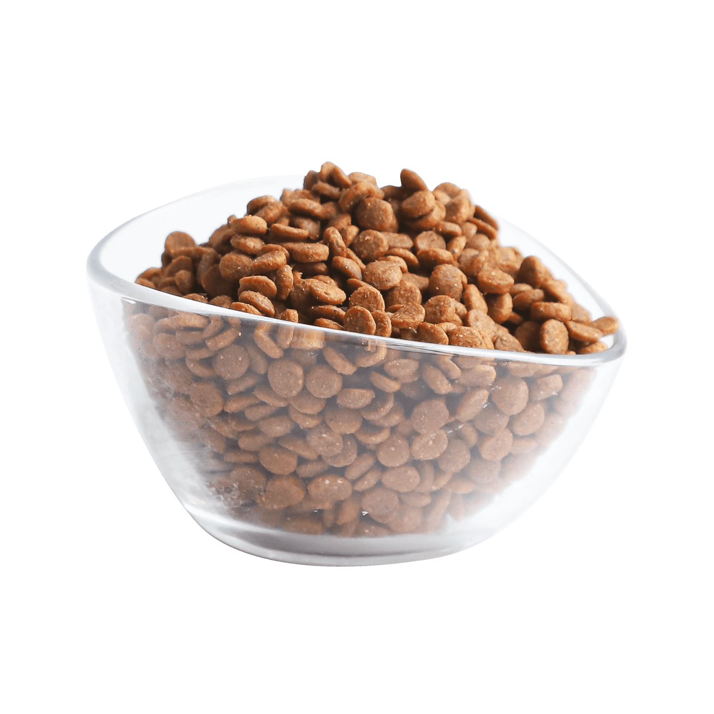Close-up of Kit Cat Classic 32 dry cat food kibble in a glass bowl showing kibble size and texture.