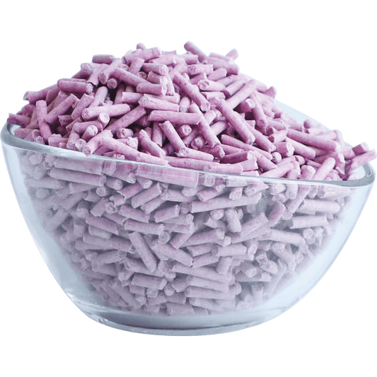 Bowl of lavender purple tofu clumping cat litter pellets