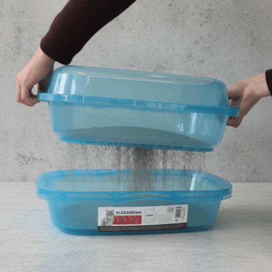 4-piece cat litter tray set in translucent blue plastic, one container held and one on table.