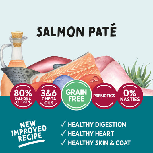 Natura Salmon páté with ingredients and health benefits on a light blue background
