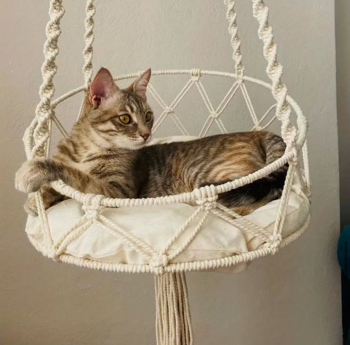 Handwoven hanging cat hammock with macramé design and cushion, holding a tabby cat