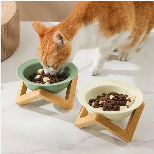 A ginger cat eating from a raised ceramic bowl. 
