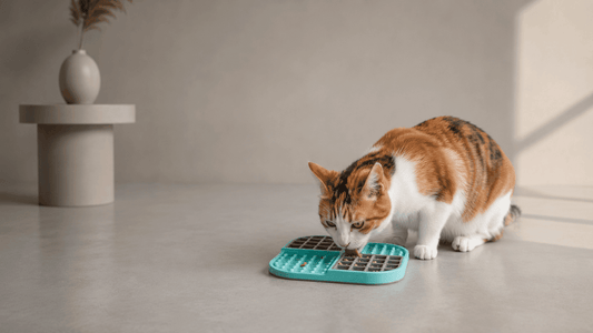 How to Use Lick Mats and Slow Feeders for Cats: Easy Enrichment Ideas for Indoor Cats - The Apartment Cat