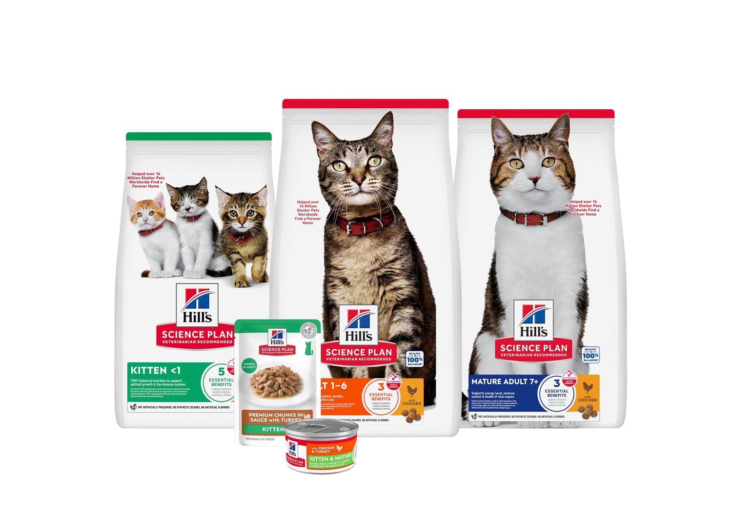 Hill's Science Plan - The Apartment Cat