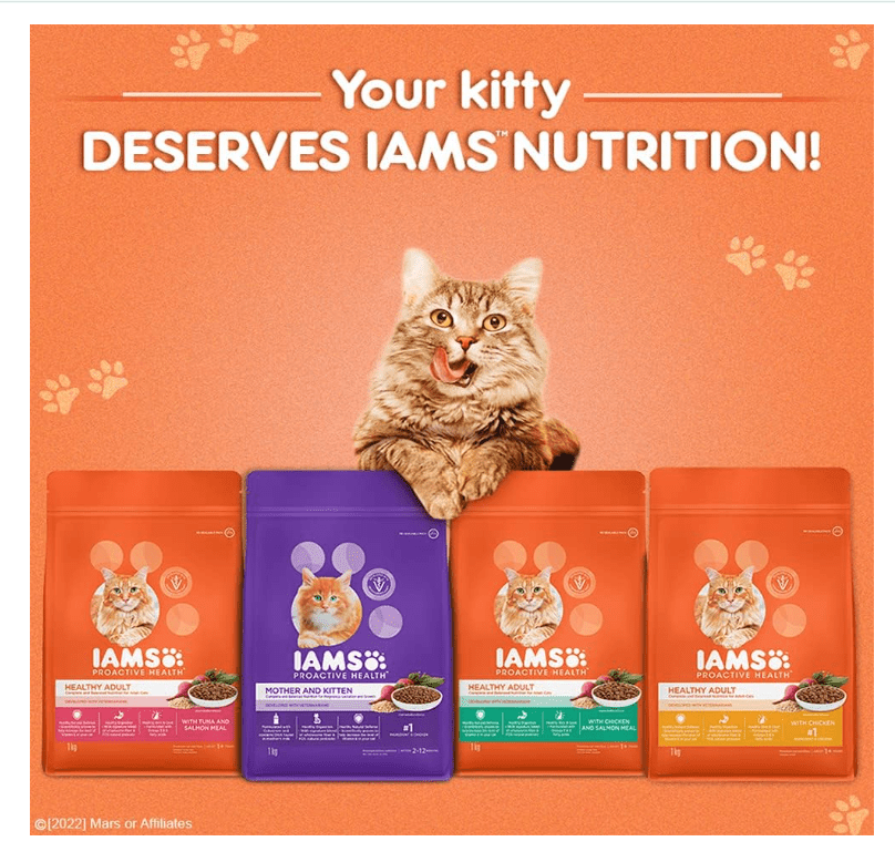 IAMS - The Apartment Cat