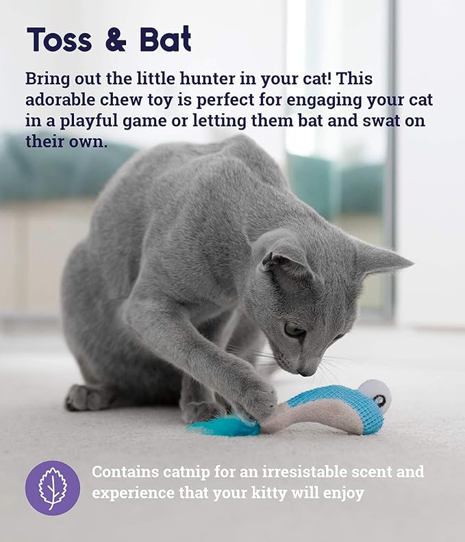 Catstages Dental Shrimpies Catnip Cat Toy 2 Pack | The Divers
