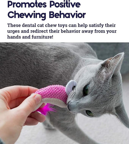 Catstages Dental Shrimpies Catnip Cat Toy 2 Pack | The Divers