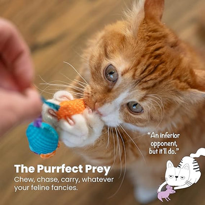 Catnip Dental Chew Mice | The Informants