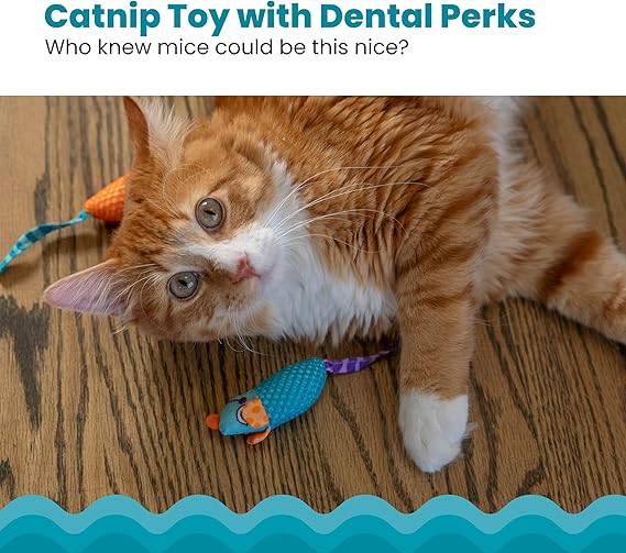 Catnip Dental Chew Mice | The Informants