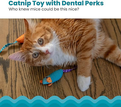 Catnip Dental Chew Mice | The Informants