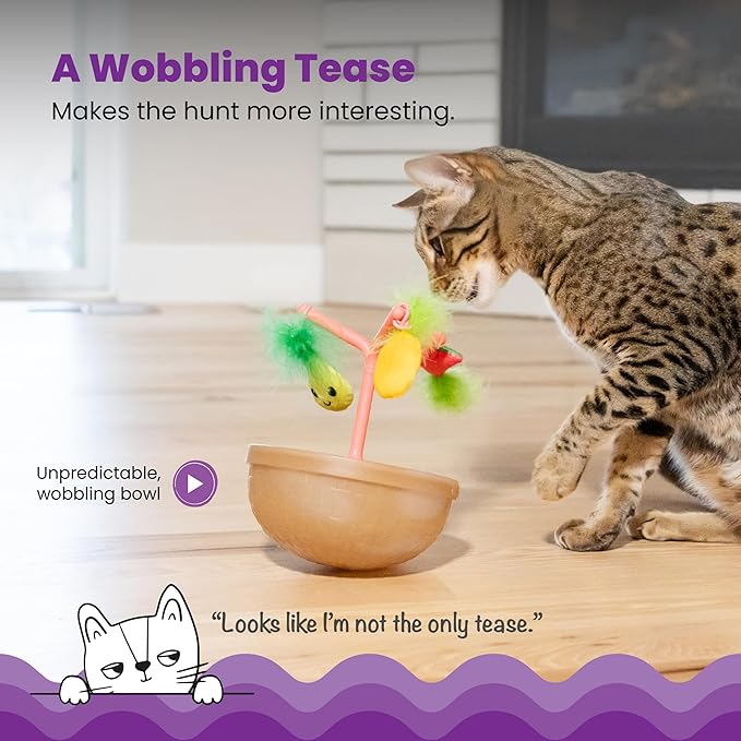 Cat playing with Catnip enrichment toy with wobble bowl