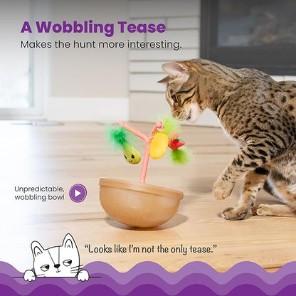 Cat playing with Catnip enrichment toy with wobble bowl