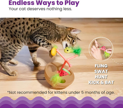 Cat playing with Indoor hunting toy for cats
