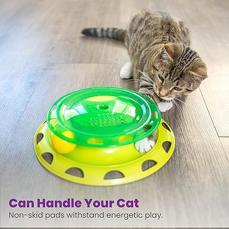 Catstages Catnip Chaser Cat Toy | The Chaser