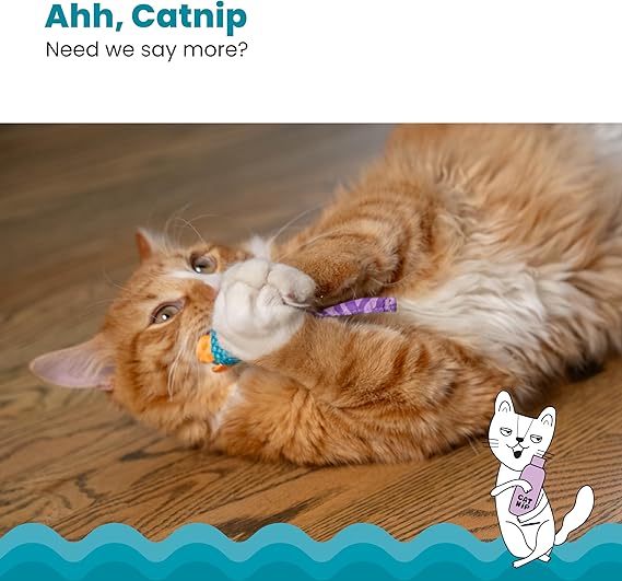 Catnip Dental Chew Mice | The Informants