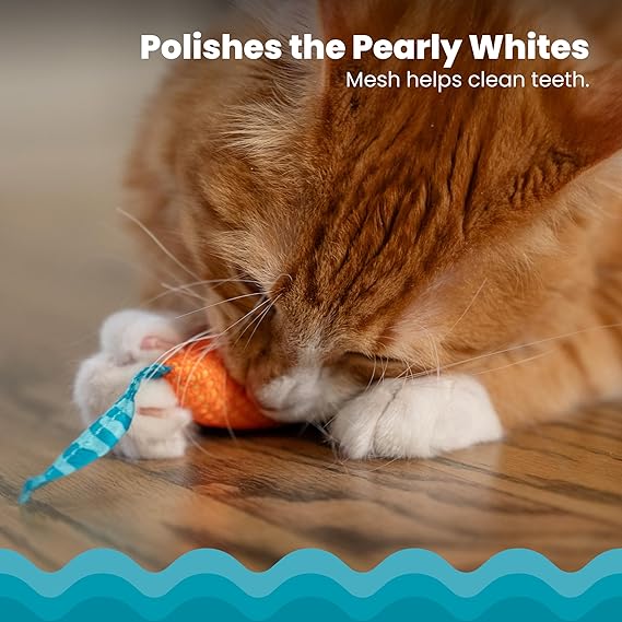 Catnip Dental Chew Mice | The Informants