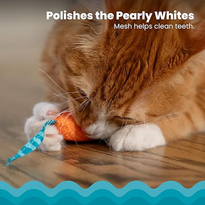 Catnip Dental Chew Mice | The Informants