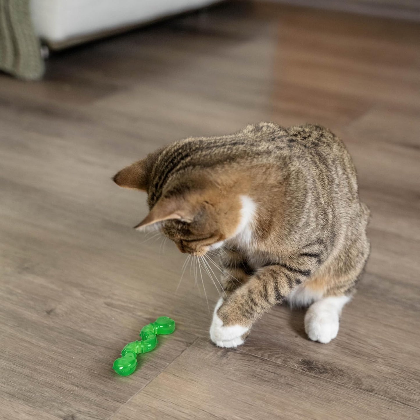 ORKA Cat Wiggle Worm | The Wiggle Rat