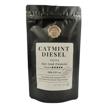 Premium catnip 40 g pack – Catmint Diesel. High potency catmint for cats – The Apartment Cat.
