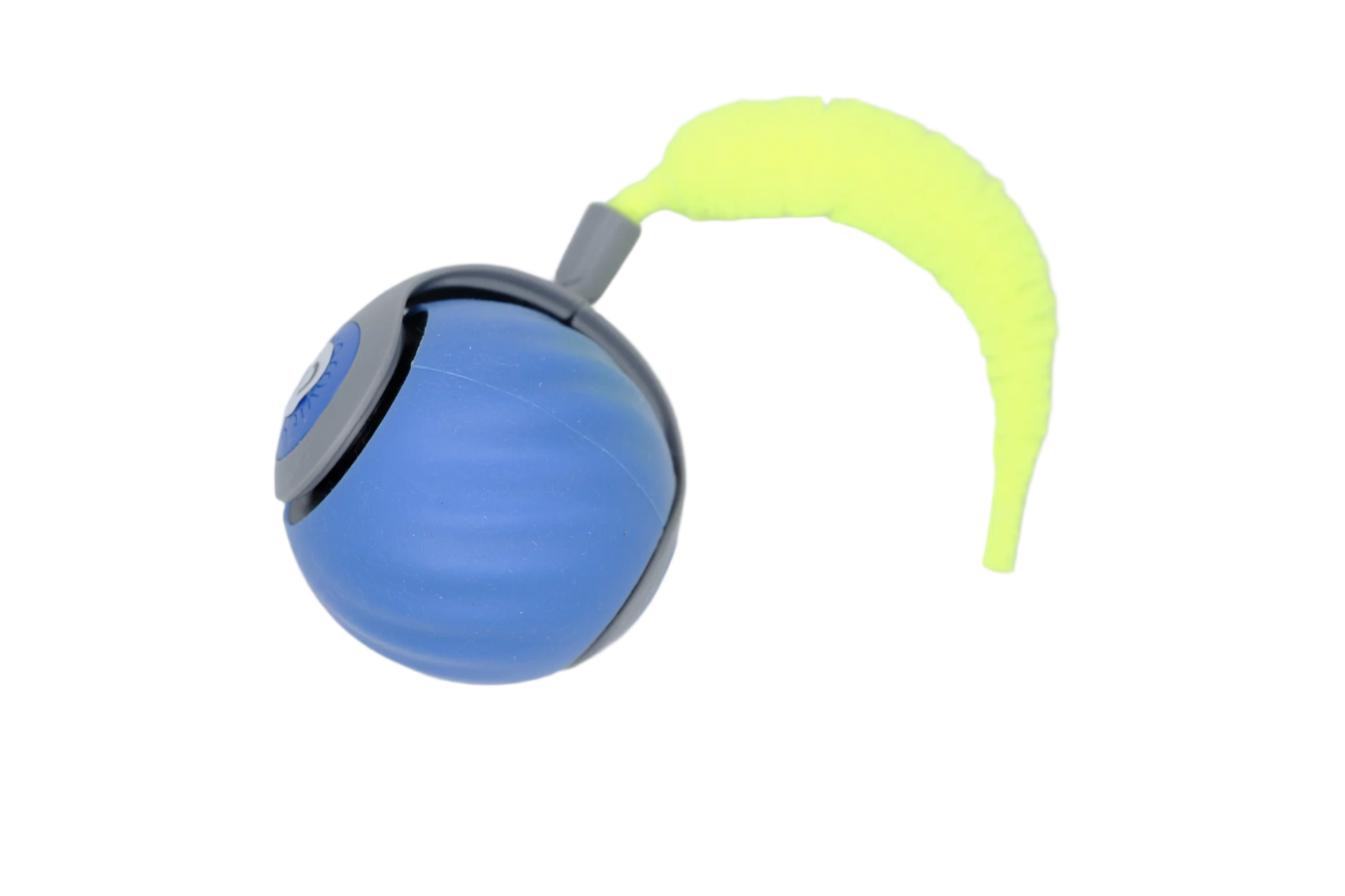 USB rechargeable interactive cat toy ball with neon tail

blue rolling cat toy ball with attached feather tail

The Button cat toy in action on the floor
