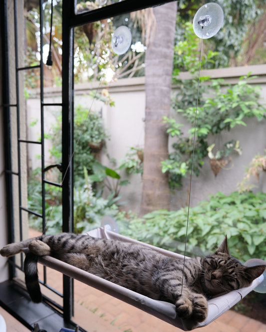 Cat Window Hammock with Strong Suction Cups | The Stakeout Perch