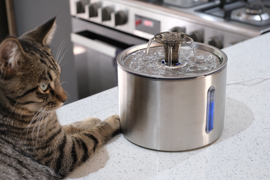 Pet Water Fountain | Stainless Steel