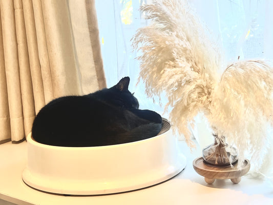 The Round Table | Cat Scratcher Bed – Durable Cardboard Lounge for Sleeping & Play