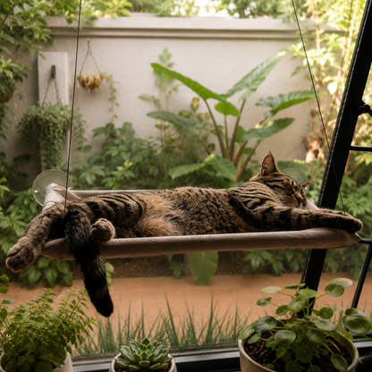 Cat Window Hammock with Strong Suction Cups | The Stakeout Perch