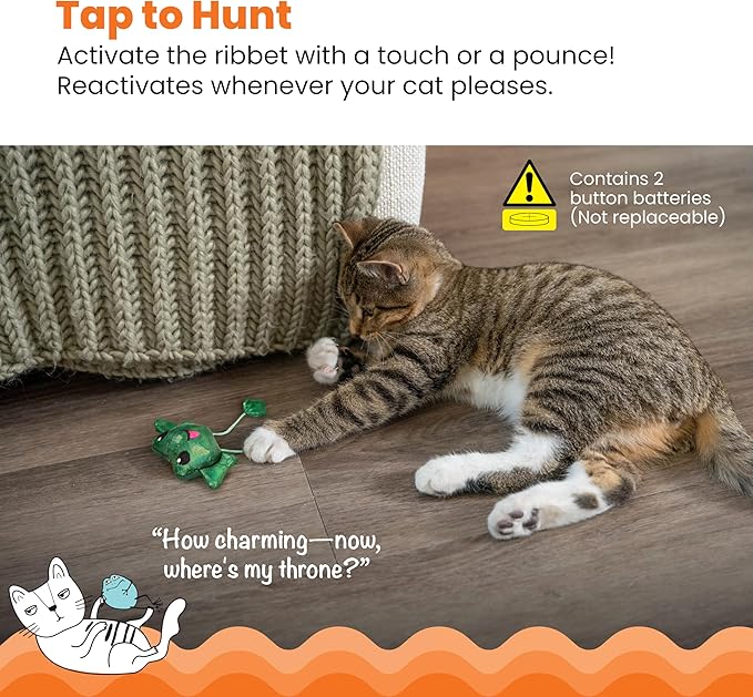 Cat playing with a green ribbeting toy on a wooden floor, with text and warning label.