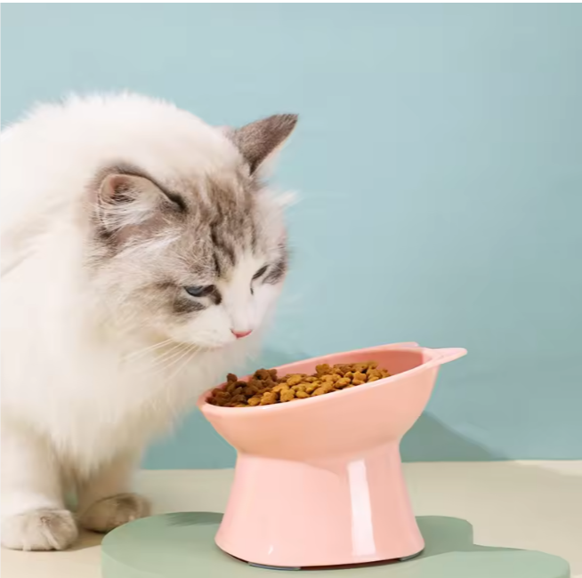 Raised Cat Feeding Bowl | The Royal Goblet