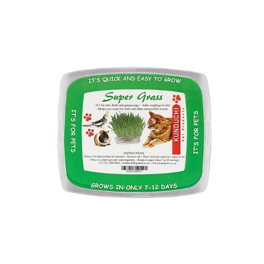 Kunduchi Super Grass Pet Grass Growing Kit | Operation Greenhouse