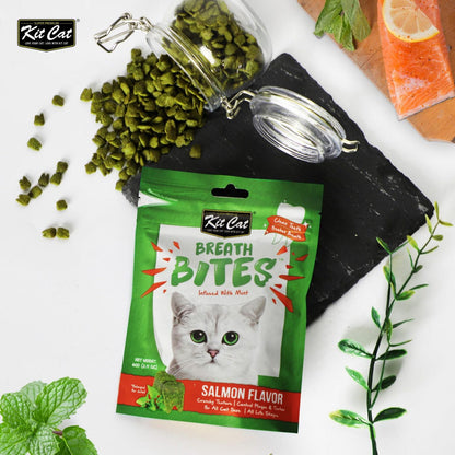 Kit Cat Breath Bites Dental Treats for Cats 60g | The Breathalyser