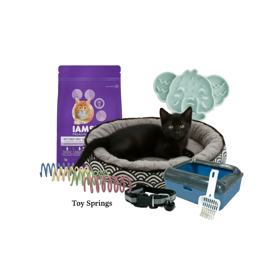 Cat products including a bed, food, toys, and accessories on a white background