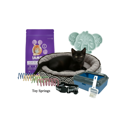 Cat products including a bed, food, toys, and accessories on a white background