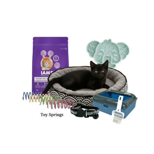 Cat products including a bed, food, toys, and accessories on a white background