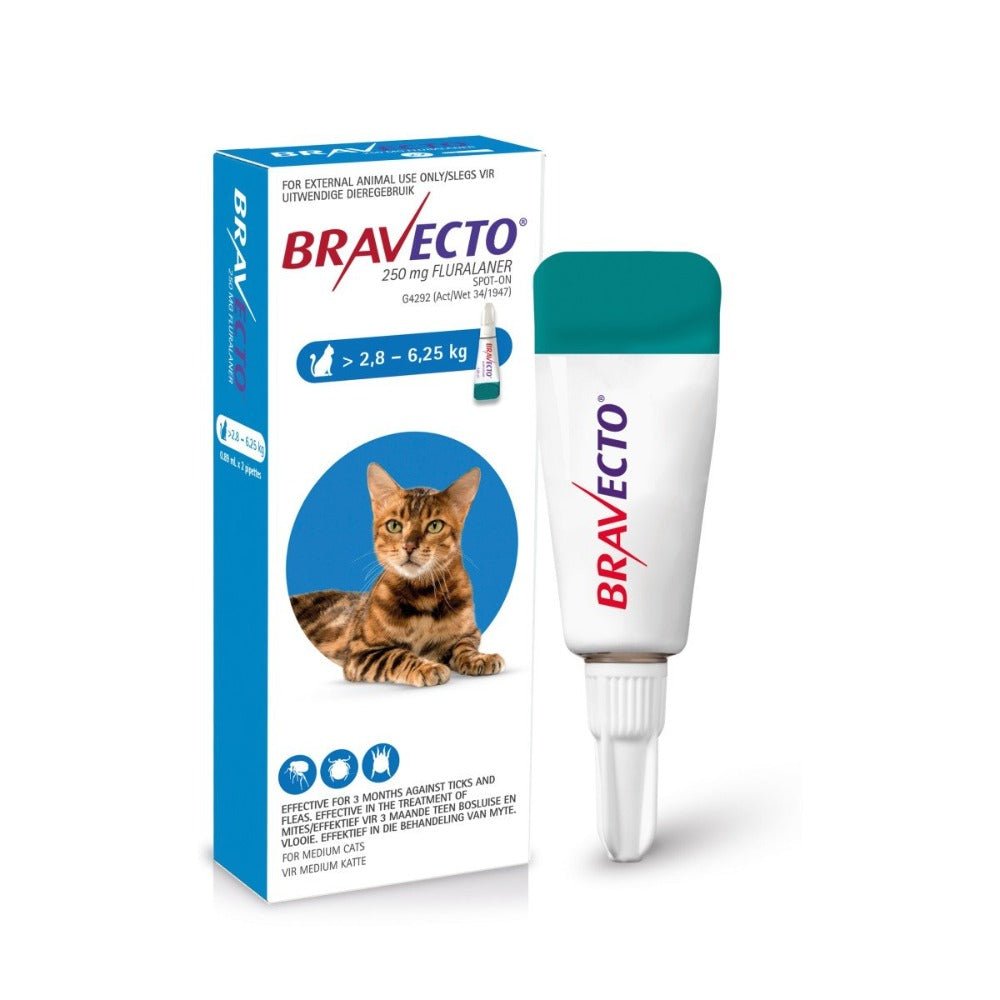 Bravecto Spot-On for Cats Medium over 2.8 to 6.25 kg packshot