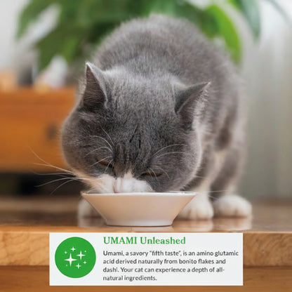Grey cat enjoying a bowl of Dashi Delights while highlighting the umami flavour of traditional dashi broth.