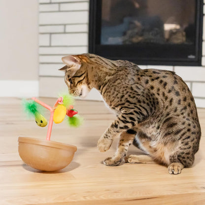 Cat playing with hanging fish toy