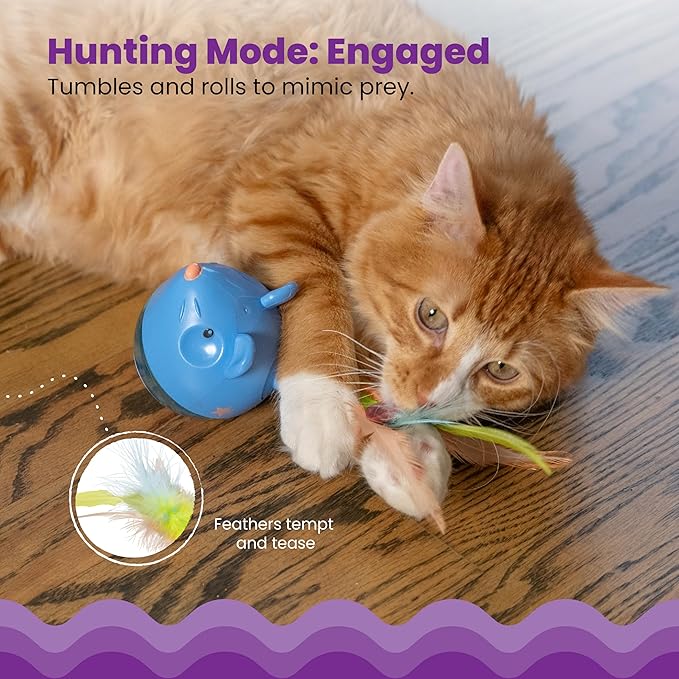 Cat batting feathered treat tumbler toy indoors