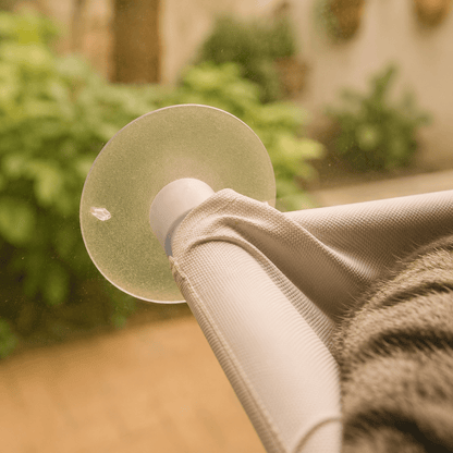 Clear suction cup attached to soft-grey window perch hammock, cat paw visible