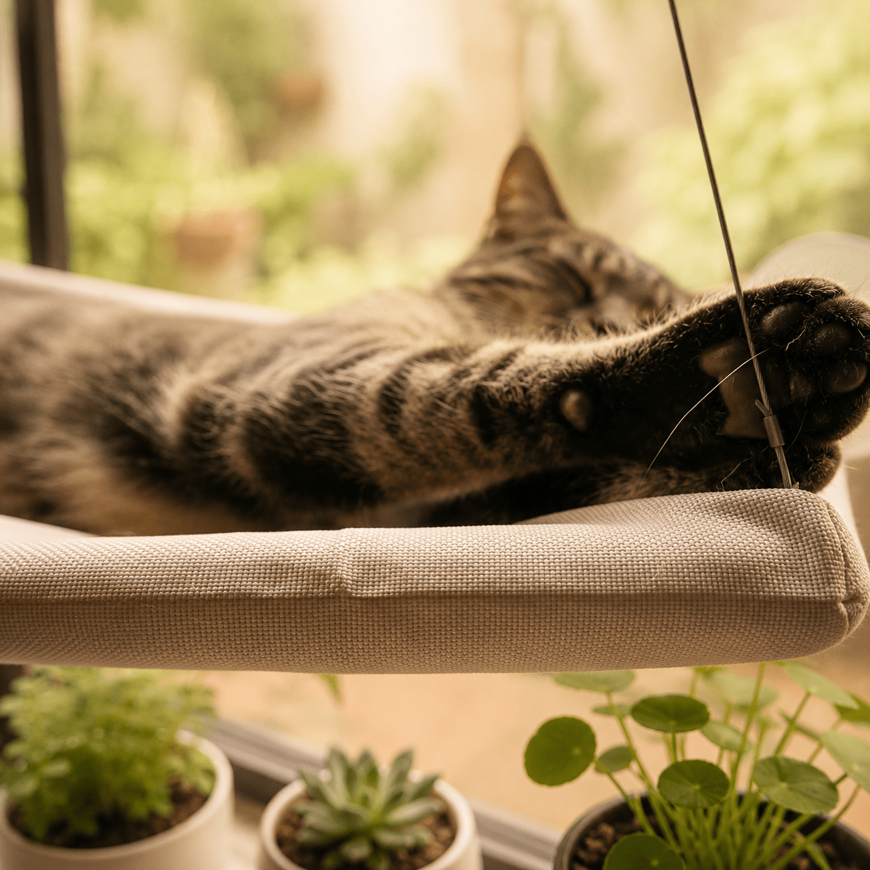 Cat lying on soft-grey window perch hammock with side suction cups, close angle