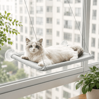 Cat window perch with suction cups, light gray fabric hammock with cat resting by window