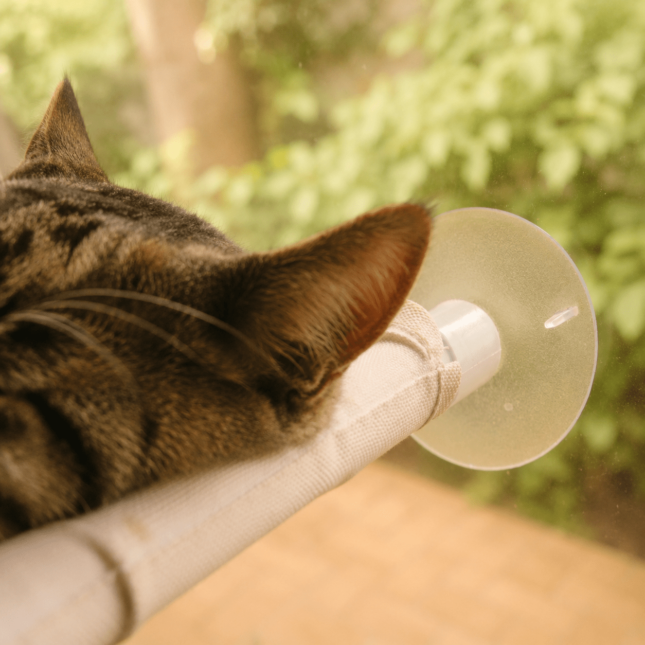Soft-grey fabric hammock on a cat window perch, with clear suction cup detail