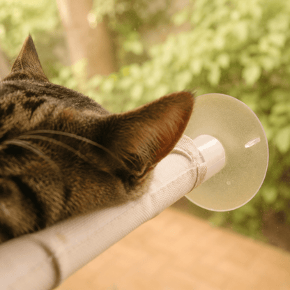 Soft-grey fabric hammock on a cat window perch, with clear suction cup detail