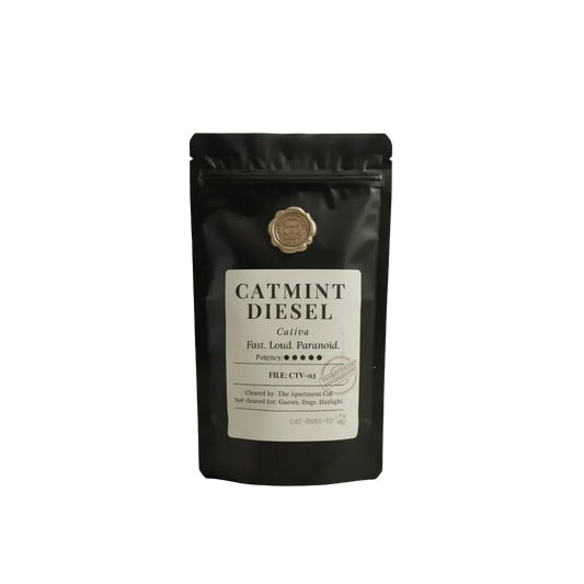 Catmint Diesel | Premium Catnip (40 g)