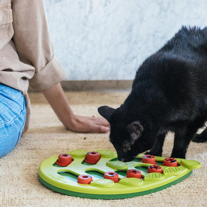 Black cat and human hand with green leaf-shaped puzzle feeder with red ladybug pegs