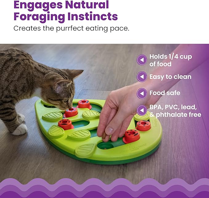 Green cat puzzle feeder with red ladybug pegs, with a tabby cat sniffing it